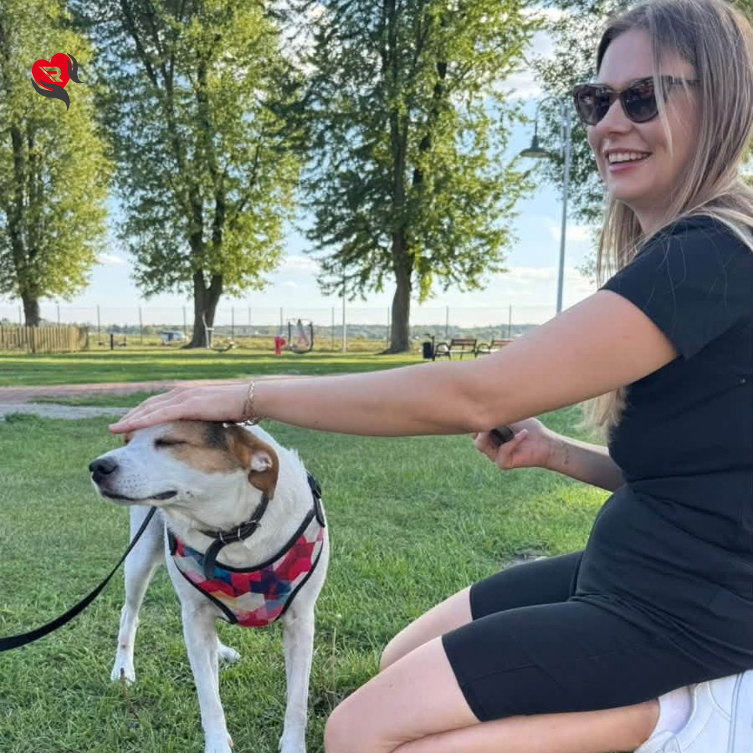 Regesta S.A. Wolontariat pracowniczy - BiegaMY i PomagaMY. Bieg z Psiakami