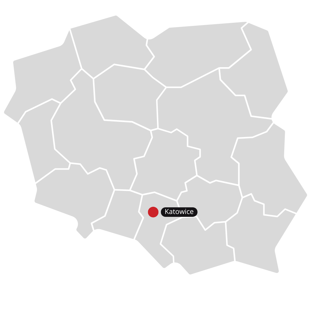 Regesta S.A. Экспресс-транспорт/Диспетчерская - Ищете подходящего партнера для экспресс-доставки? Вы обратились по адресу!