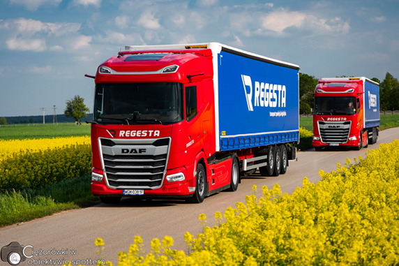 Regesta S.A. Автомобильный транспорт - В рамках транспортировки мы предоставляем следующие услуги: