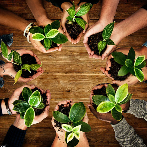 Regesta S.A. Охрана окружающей среды - Зеленая корпоративная социальная ответственность