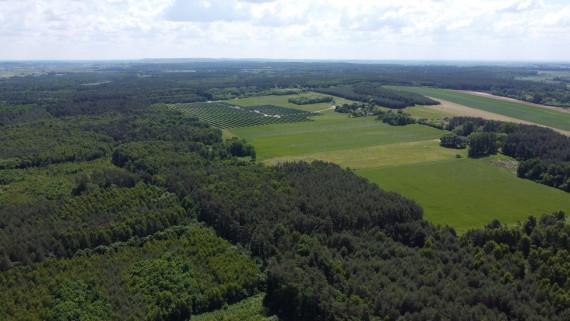 Regesta S.A.